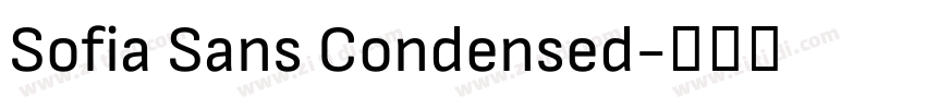 Sofia Sans Condensed字体转换